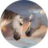 PopSockets Basic Sunset Horses