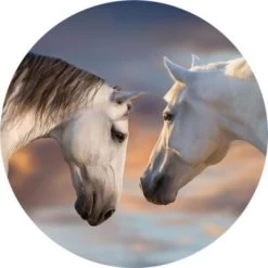 PopSockets Basic Sunset Horses