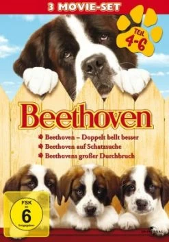 Beethoven - Teil 4-6 (3 Discs)