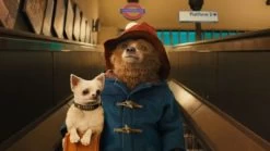 DVD Paddington 13 DVD Paddington -Audio Rabatte 4047180 07