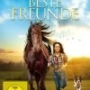 DVD Für Immer Beste Freunde -Audio Rabatte 5030251 01